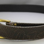 belt0001